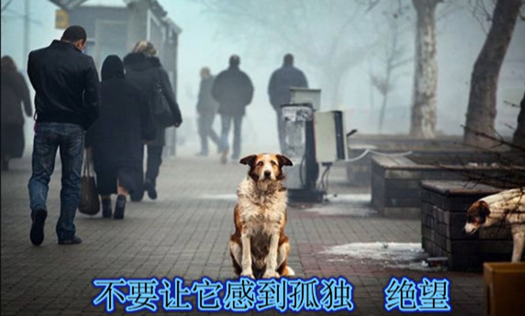 贵州贵州爱影圈微博微信转发案例